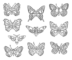 Butterflies black and white vector free download