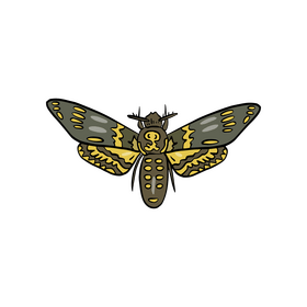 Cossina insect illustration clipart