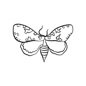 Butterfly black and white clipart