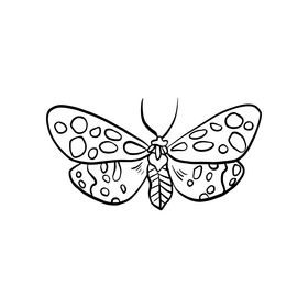 Butterfly black and white clipart