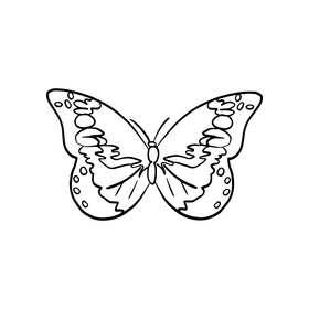 Butterfly drawing black and white clipart free download