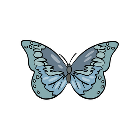 Blue butterfly insect drawing clipart