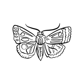 Free butterfly insect black and white clipart