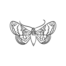 Cartoon butterfly black and white clipart