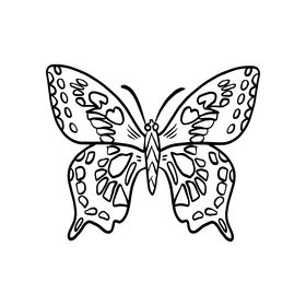 Butterfly black and white clipart