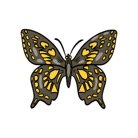 Butterfly clipart