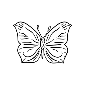 Butterfly Black And White Clipart Vector Free Download