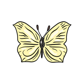 Yellow butterfly clipart