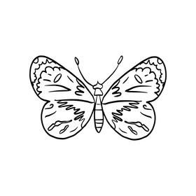Butterfly black and white clipart