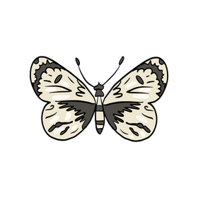 Butterfly clipart