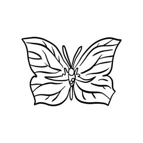 Butterfly cartoon black and white clipart