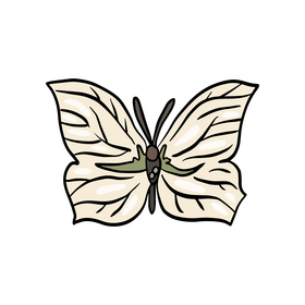 Butterfly cartoon clipart