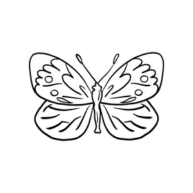 Butterfly drawing black and white clipart free download