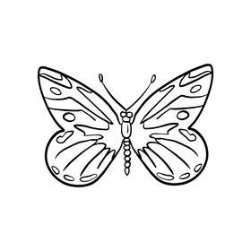 Butterfly drawing black and white clipart free download