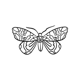 Butterfly pest black and white clipart