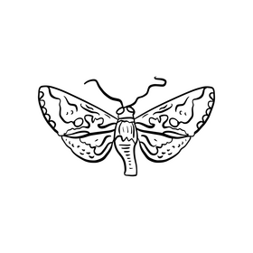 Butterfly pest black and white clipart