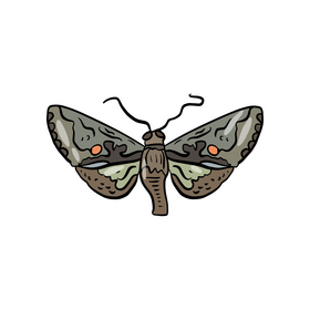 Butterfly pest clipart