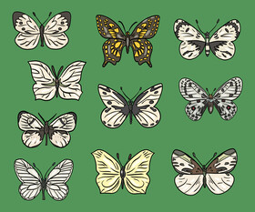 Free butterflies vector