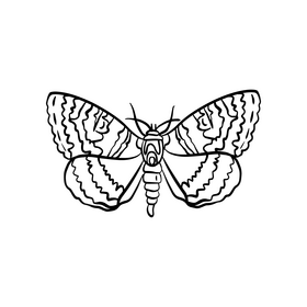 Cartoon butterfly pest black and white clipart