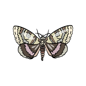 Cartoon butterfly pest clipart