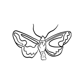 Cartoon butterfly pest black and white clipart