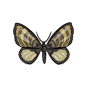 Butterfly pest cartoon clipart