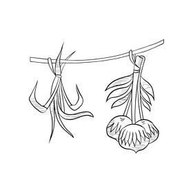 Spa dried flowers illustration black and white clipart