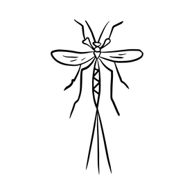 Insect rider black and white clipart