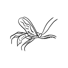 Insect rider black and white clipart