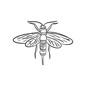 Flying insect black and white clipart