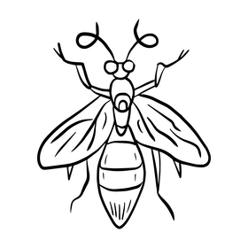 Flying insect black and white clipart free download