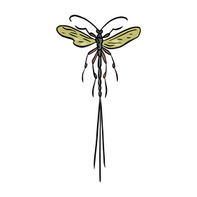 Flying insect illustration clipart