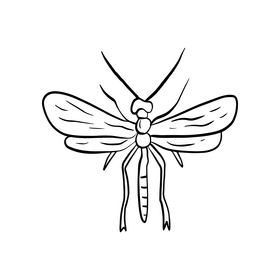 Flying insect drawing black and white clipart