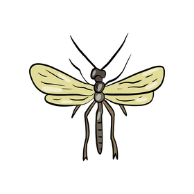 Flying insect drawing clipart