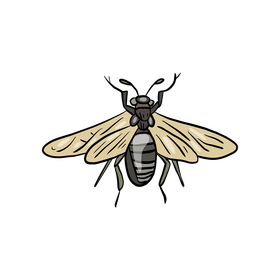Flying insect clipart