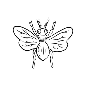 Free flying insect black and white clipart