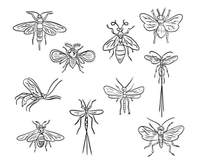 Flying insects black and white vector