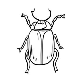 Forest beetle black and white clipart free download