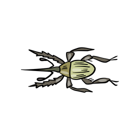 Forest bug clipart