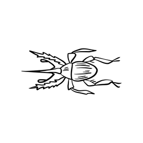 Forest insects black and white clipart