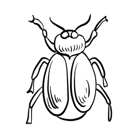 Forest insect black and white clipart