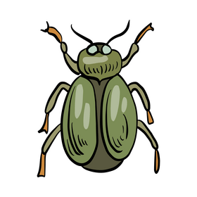 Green forest insect clipart