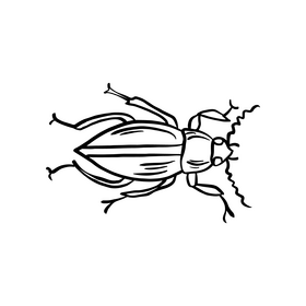 Forest insect black and white clipart