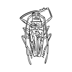 Forest bug black and white clipart