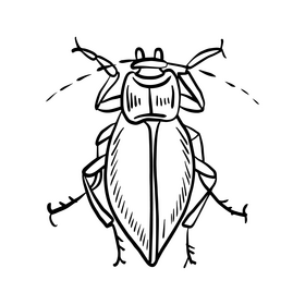 Forest beetle black and white clipart