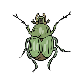Forest beetle clipart
