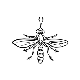 Fly insect black and white clipart