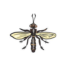 Fly insect clipart