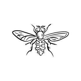 Fly insect cartoon black and white clipart