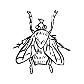 Cartoon fly insect black and white clipart